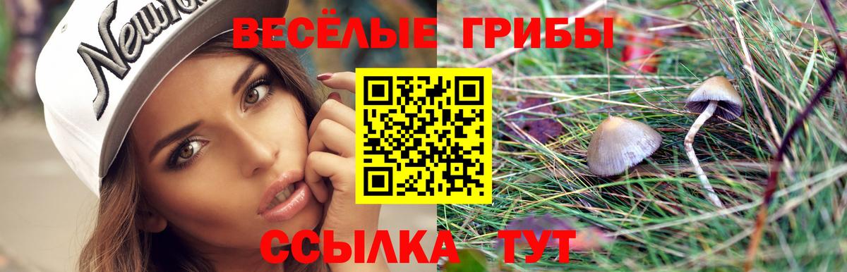 Краснознаменск  Галлюциногенные грибы Cubensis  Вход с VPN 